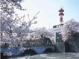 Fukui Prefectural Office /  Fukui Castle Ruins