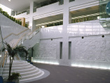 Looking up the stairs from the foyer